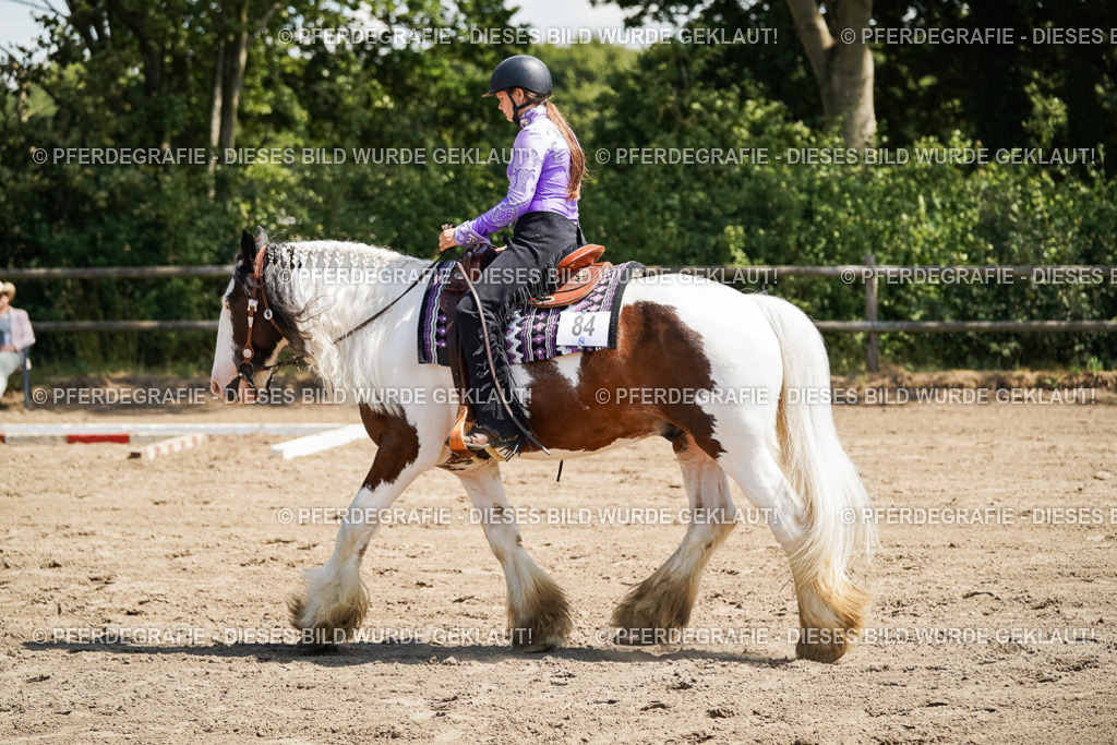 DSC07485 | Pferdegrafie