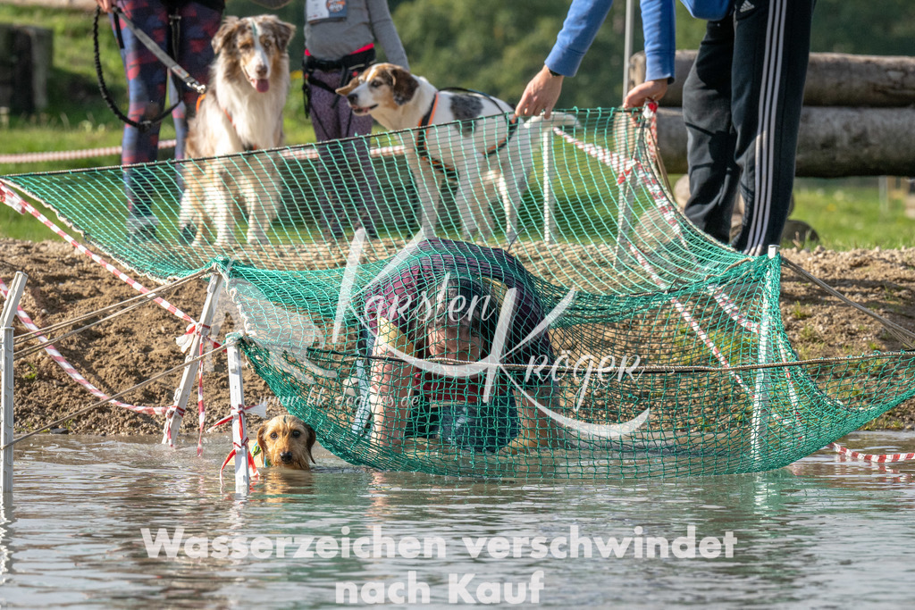 1200_ZZ94848 | kk-dogfotos