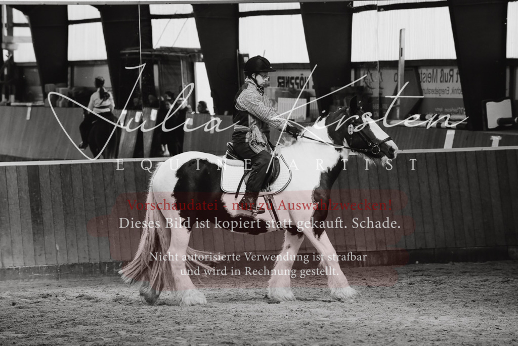 DSC_7137 | Pferde- und Turnierfotografie in Westsachsen. Pferdeportraits, Auftragszeichnungen und intuitive Kunst.