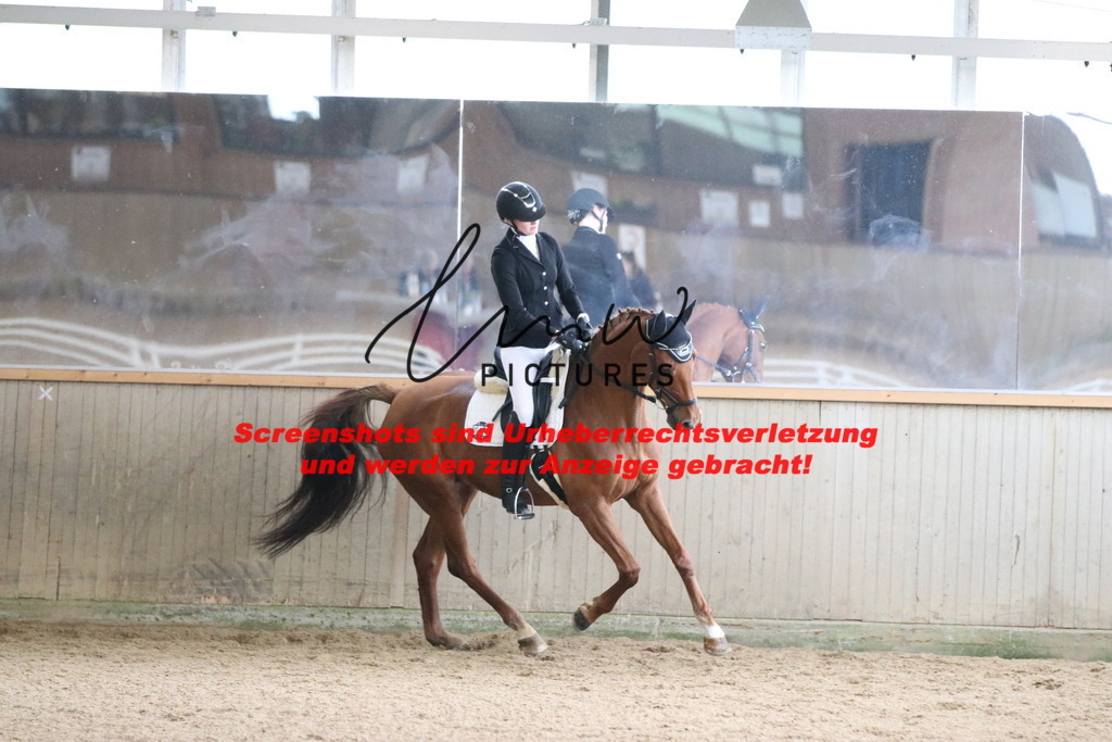 IMG_7392 | lmwpictures - Realisiert mit Pictrs.com