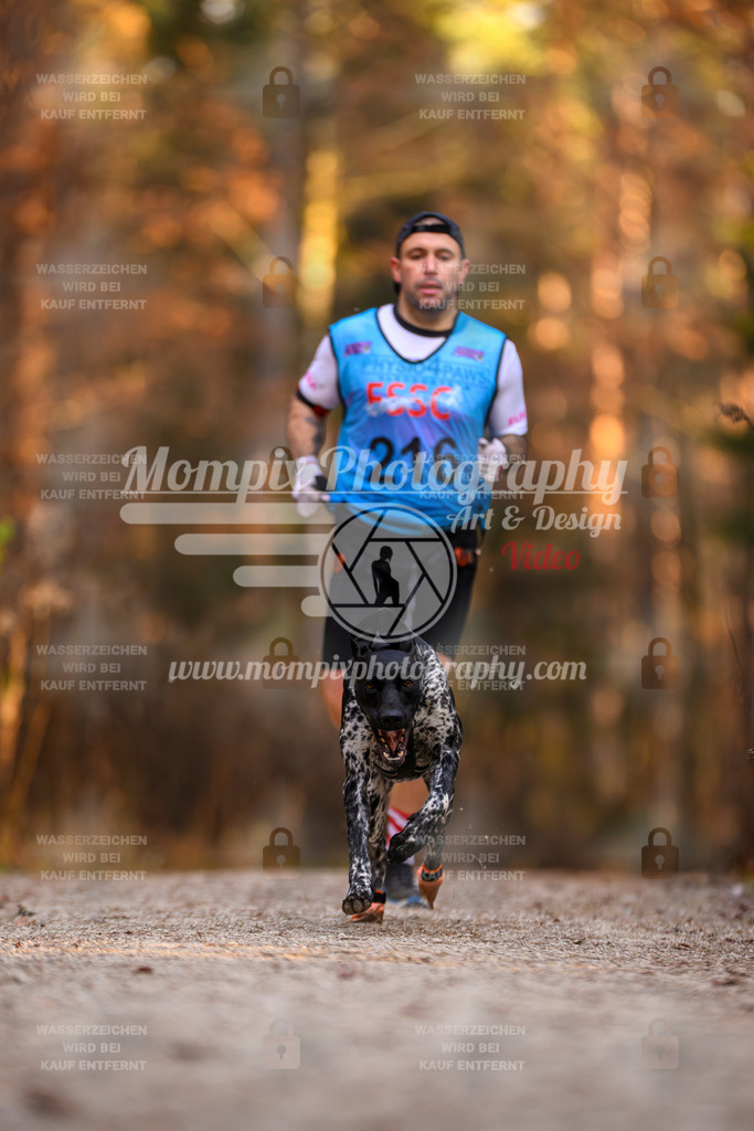 MompixPhotography_DM_AKDM_SO_2025_-22 | PayLife