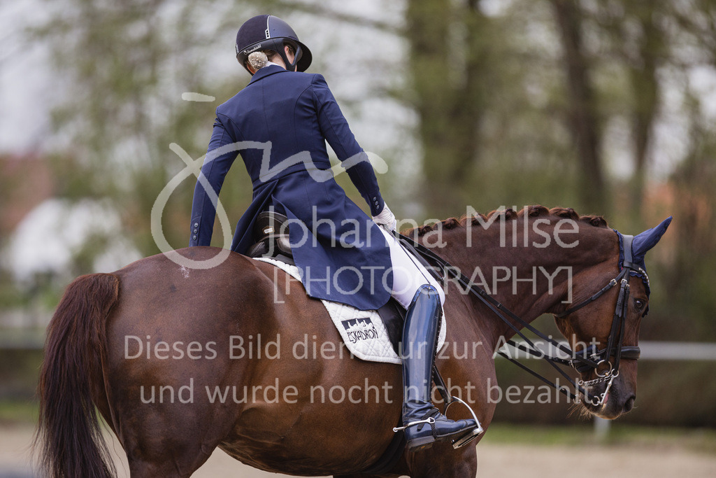 230429_Dressurfestival_S3St-211 | Deine schönsten Turniermomente als professionelle Fotos! Entdecke hochwertige Pferdesport-Fotografie im Online-Shop. Jetzt Fotos finden & bestellen!