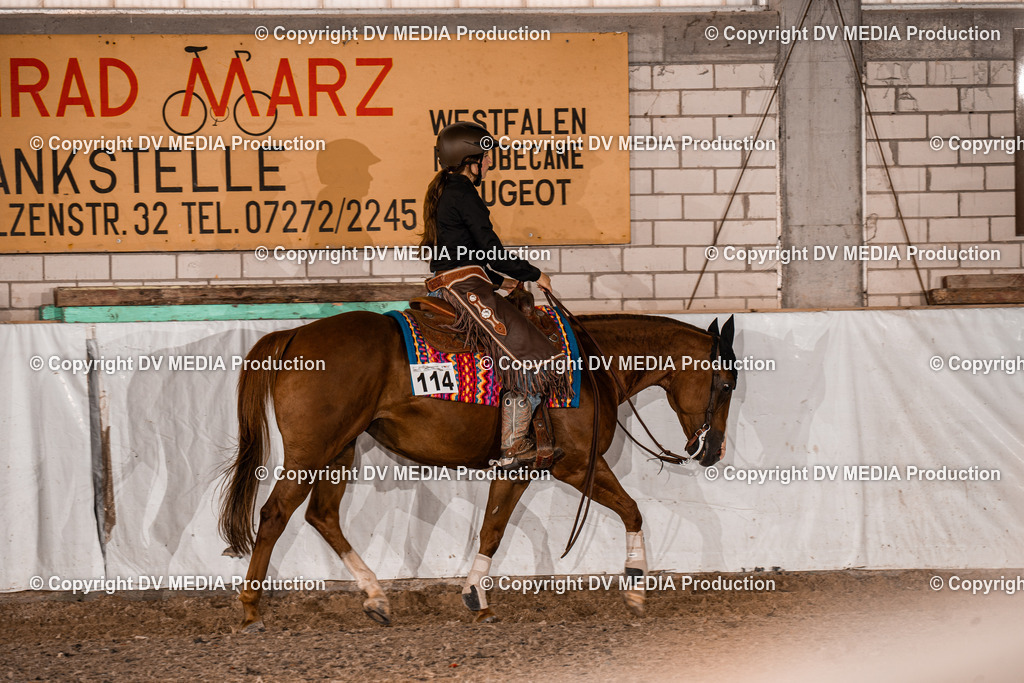 ZH300235 | dv-media-shop - Realisiert mit Pictrs.com