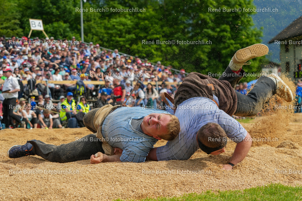 RB_09635 | René Burch leidenschaftlicher Fotograf aus Kerns in Obwalden.  Hier finden sie Sport, Landschaft und Natur Fotografie.
 - Realisiert mit Pictrs.com