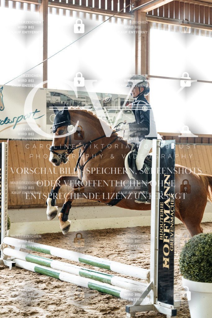 CK902532 | Turnierfotografie Pferdefotografie Trier Rheinland-Pfalz Pferdesport Reitsport Tierfotografie Sportfotografie Pferdevideo Pferdevideografie Equestrianvideography equestrianphotography  - Realisiert mit Pictrs.com