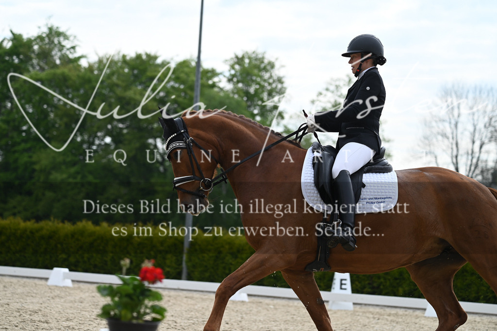 20230512_JK-Röhrsdorf-02-310 | Pferde- und Turnierfotografie in Westsachsen. Pferdeportraits, Auftragszeichnungen und intuitive Kunst.