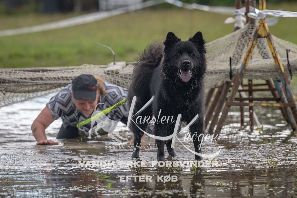 1433_ZZ90207 | kk-dogfotos