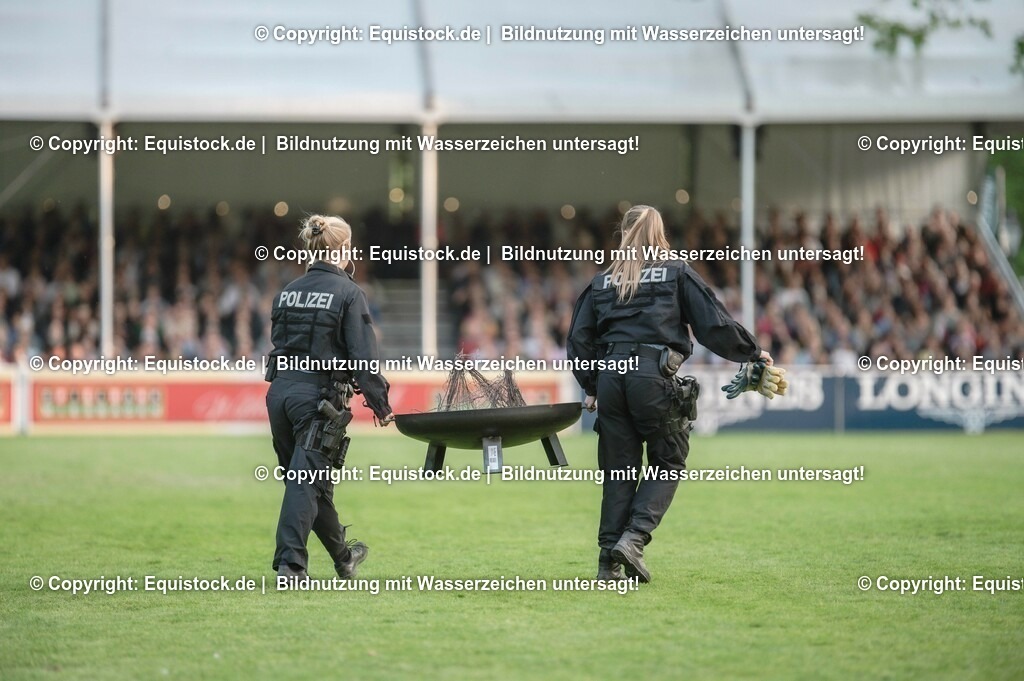 20230526_Pferdenacht_0362 | equistock