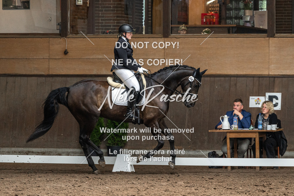 nelerasche_DrA_Ede_01 | nelerasche