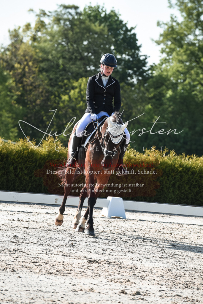 20230518_JK-Röhrsdorf-09-0614 | Pferde- und Turnierfotografie in Westsachsen. Pferdeportraits, Auftragszeichnungen und intuitive Kunst.