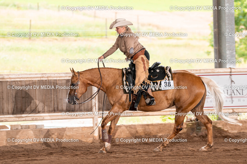 Erbach Tag 3-1384 | dv-media-shop - Realisiert mit Pictrs.com