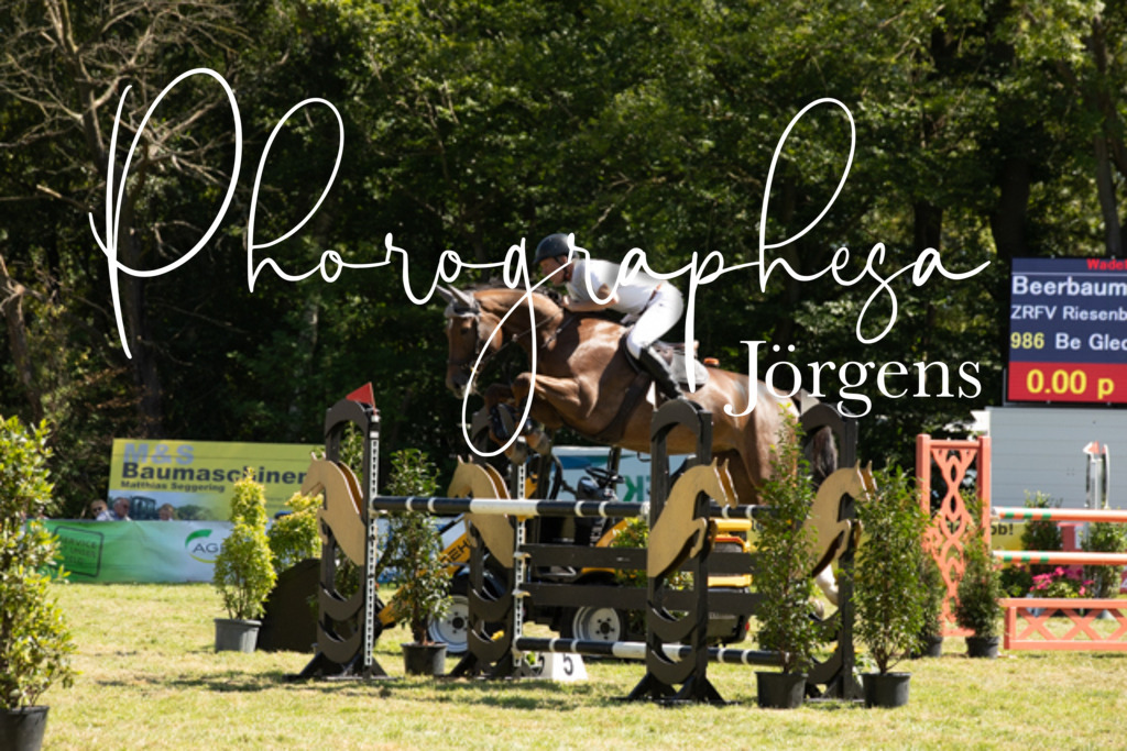 IMG_9095 | photographesa-joergens - Realisiert mit Pictrs.com