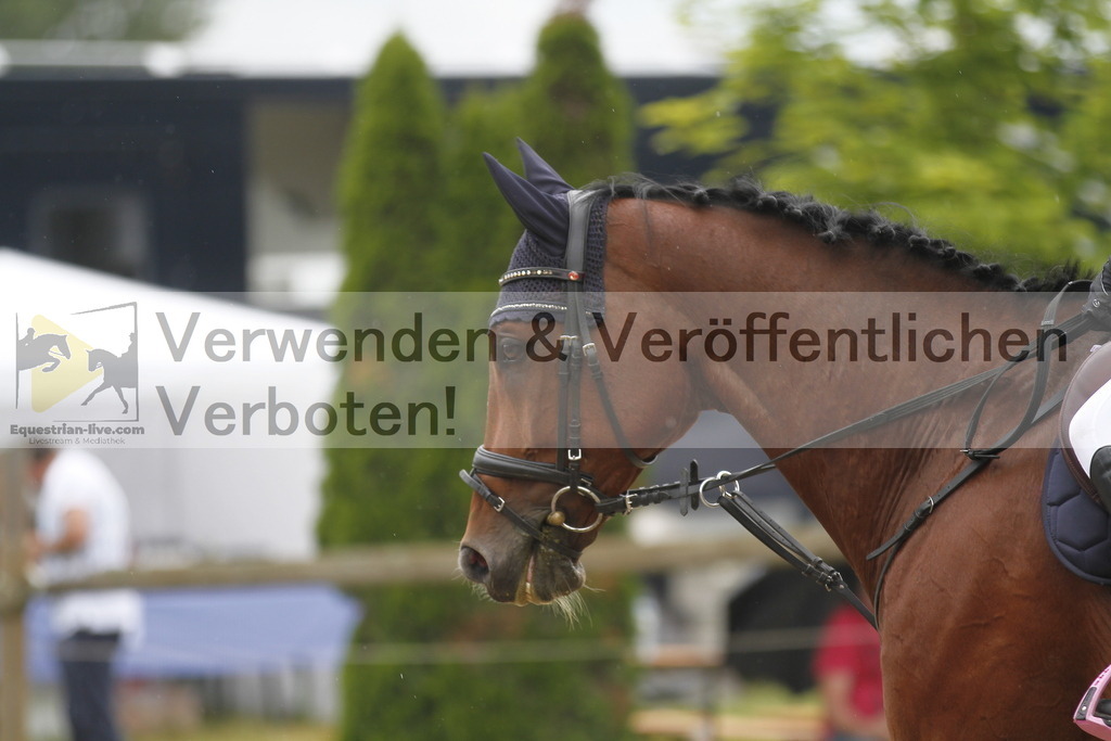 _MG_9684 | equestrian-live-com