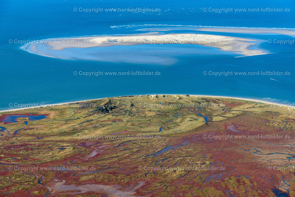 Memmert_ELS_5785091022 | JUIST 09.10.2022 Kurvenförmige Schleifen mehrerer Fluss- Verläufe auf der grünen naturgeschützten Nordsee- Insel Memmert bei Juist mit Wattenmeer und vorgelagerter Sandbank Kachelotplate im Bundesland Niedersachsen. // Curved loops of several converging rivers flowing into the Wadden Sea on the green environmentally protected North Sea island Memmert in Juist and the sandbank Kachelotplate in the state Lower Saxony. Foto: Martin Elsen