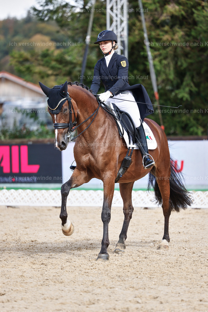 07-003-DRESSUR  S___  -StoibPH-5062 | working equitationturnier fotograf videograf stoibphotography marixx film working equitation deutschland reitsport turnierfotografie eventfotografie equestrian events