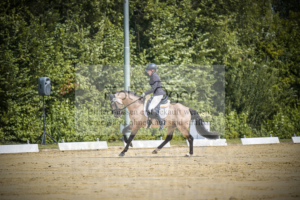 DOS_0314 | Entdecke hochwertige Reitturnierfotos von Foto Oger. Professionell, emotional und authentisch – jetzt Lieblingsmomente im Shop bestellen.Deutschlandweite Turnierfotografie. - Realisiert mit Pictrs.com