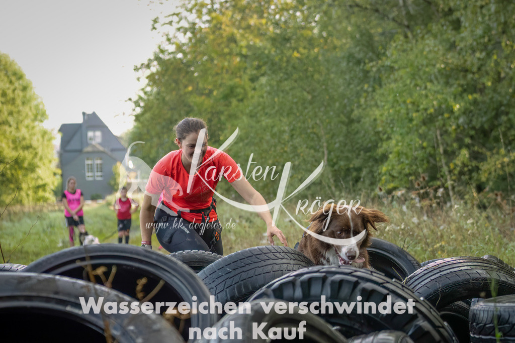 1030_ZZ94536-Bearbeitet-2 | kk-dogfotos