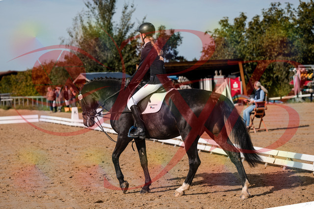 2026_10_03_Siefer-Hof_115612_Z63_31085364 | Professionelle Reitsport-, Turnier- und Eventfotografie von Robert Broda. Galerien mit ausgewählten und bearbeiteten Bildern direkt online ansehen und bestellen.