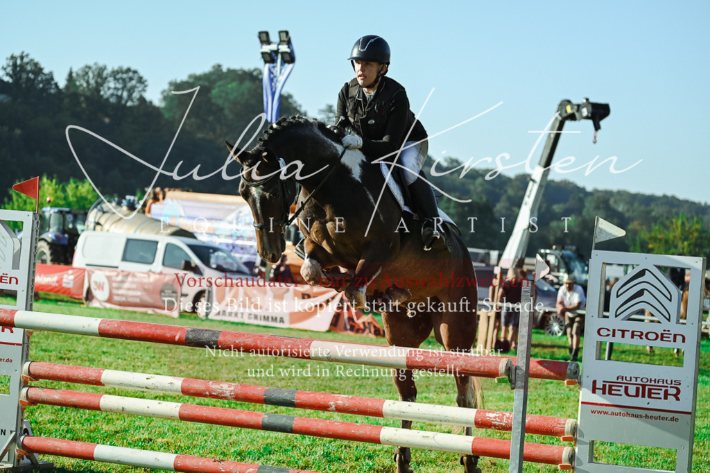 DSC_4501 | Pferde- und Turnierfotografie in Westsachsen. Pferdeportraits, Auftragszeichnungen und intuitive Kunst.