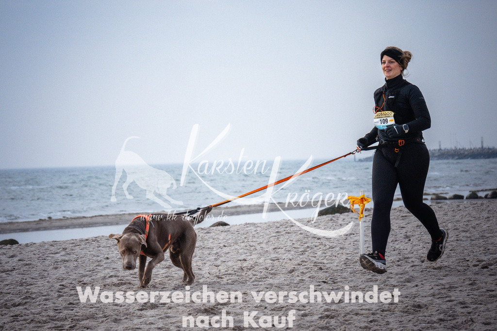 1040_ZZ95811 | kk-dogfotos