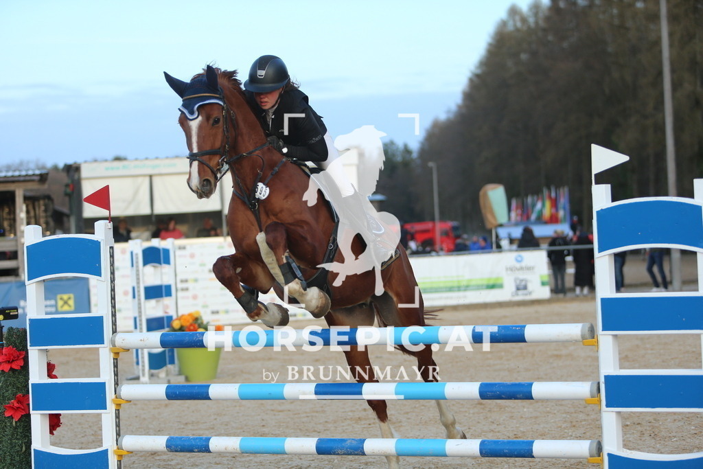 DL2Q4751 | Willkommen bei Brunnmayr - Design & Fotografie – Ihrem Spezialisten für Reitturniere und Pferdeveranstaltungen in Oberösterreich, Salzburg und Bayern! Seit über 17 Jahren sind wir leidenschaftlich dabei.
