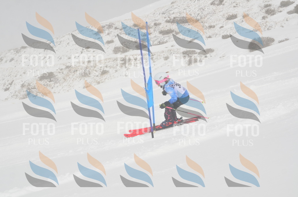 A5286 | holidayphoto