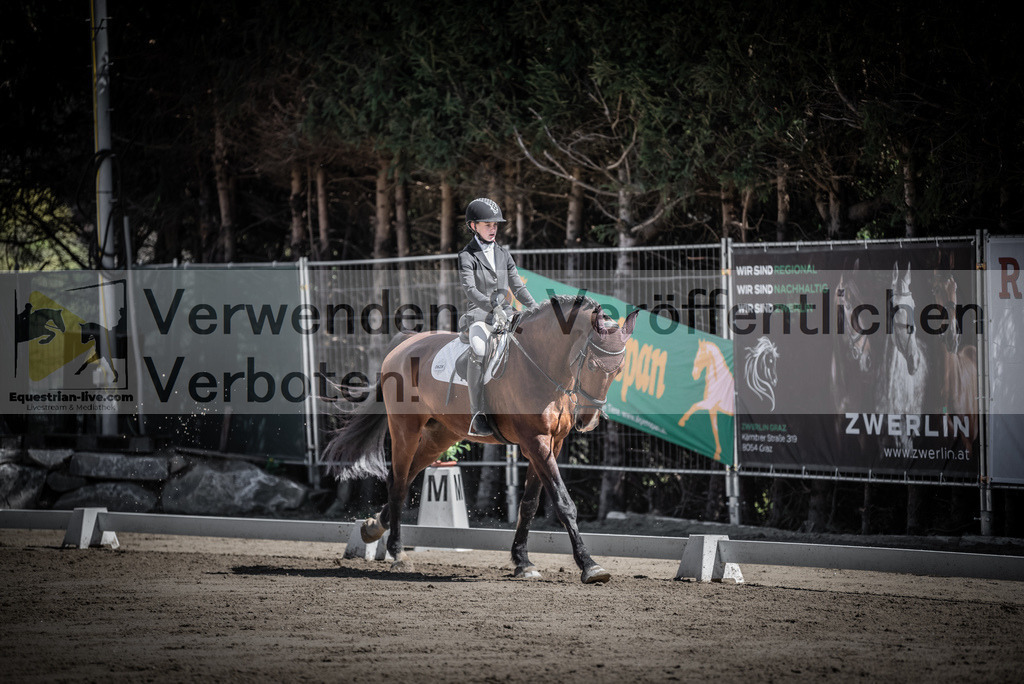 DSC_9903 | equestrian-live-com