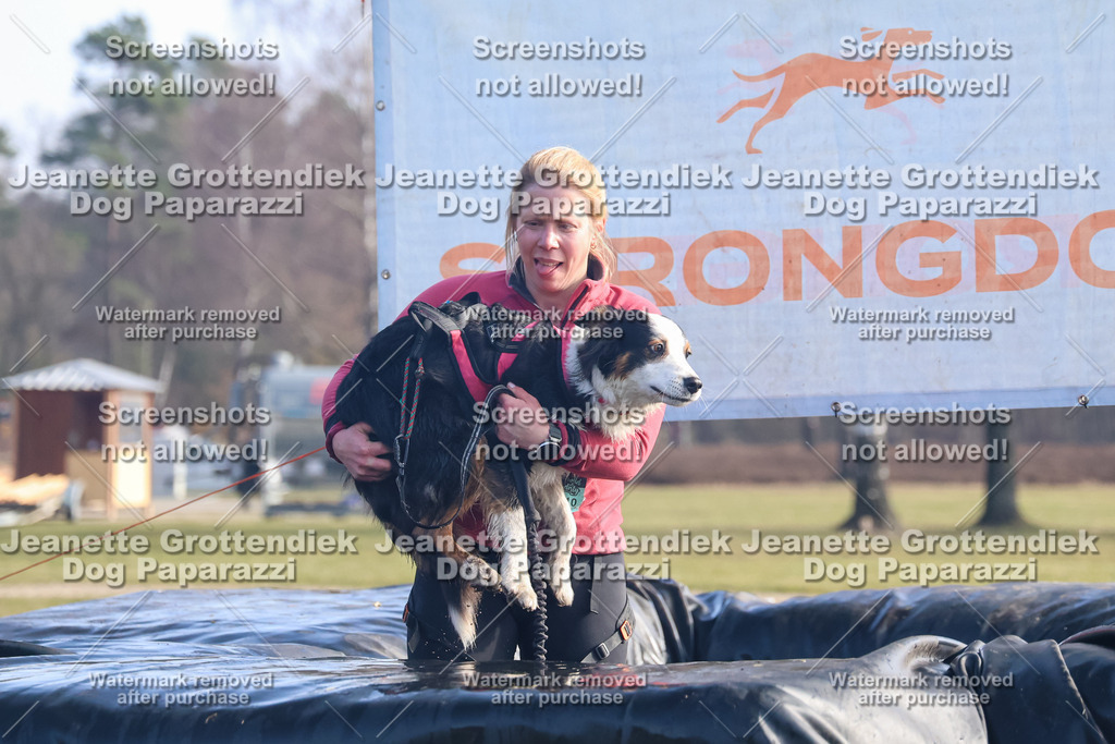 Dog Paparazzi - Strongdog North Mrz26-998 | Dog Paparazzi Jeanette Grottendiek Fotografie & Videografie - Realisiert mit Pictrs.com
