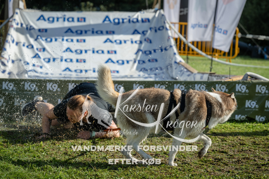 0958_ZZ97546 | kk-dogfotos