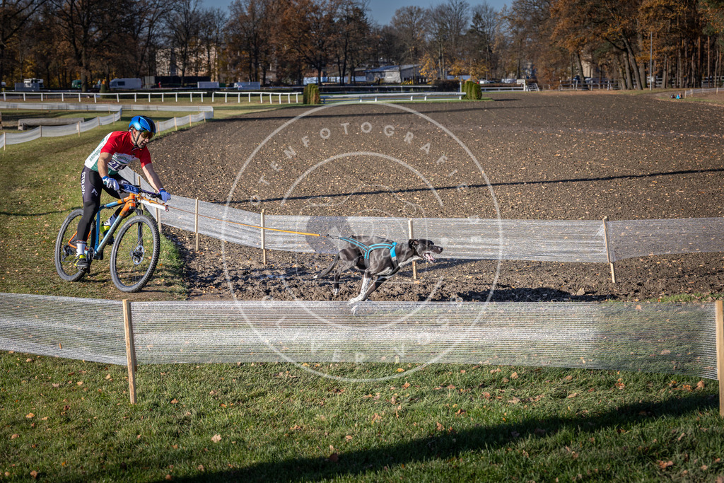 CaniXpix_DV3A3263 | Hundefotografie, Tierfotograf, Pfotenfotografie, Fotoshooting Hund, Hunde Portrait, Hundesport, Hundeportraits, Heideshooting, Hunde, Sportfotograf, Hundefotograf, Turnierhundsport, THS,  - Realisiert mit Pictrs.com