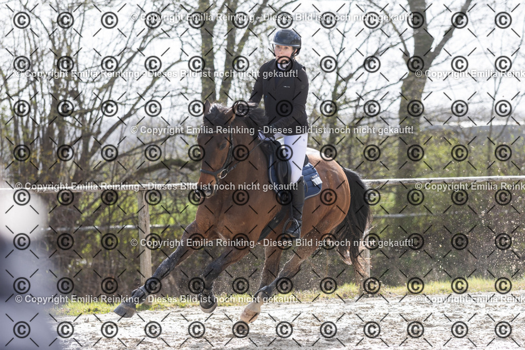 CL5A7782 | Emilia Reinking Fotografie - Realisiert mit Pictrs.com