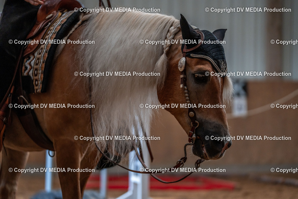 Neckargemünd Tag 2-51 | dv-media-shop - Realisiert mit Pictrs.com