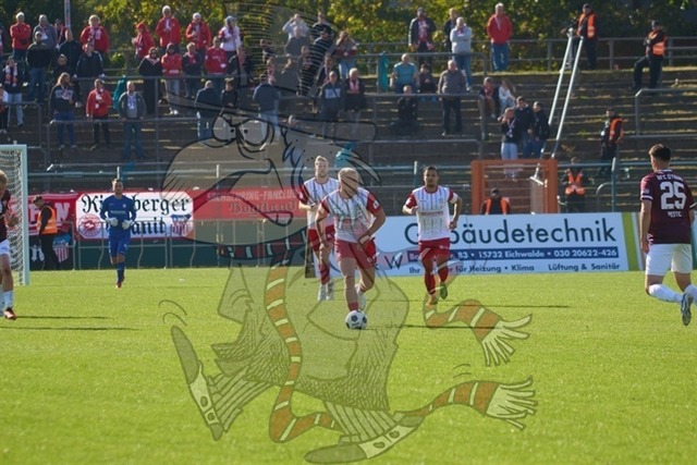 BFC Dynamo vs. FSV Zwickau 033 | mythos-online-redaktion