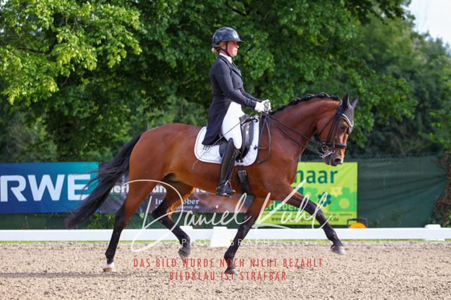 DKP41618 | Turnierfotos kaufen im Webshop von Daniel Kuhl Photography – entdecke professionelle Reitsportfotos aus Turnieren & Events. Hochwertige Turnierbilder online bestellen & sichern. Jetzt Fotos von Reitsportturnieren kaufen!