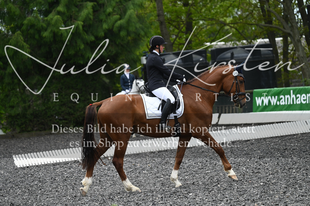 20230512_JK-Röhrsdorf-07-180 | Pferde- und Turnierfotografie in Westsachsen. Pferdeportraits, Auftragszeichnungen und intuitive Kunst.