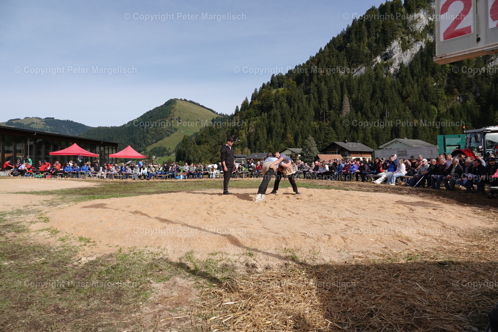 DSC00071 | Schwingen - Realisiert mit Pictrs.com