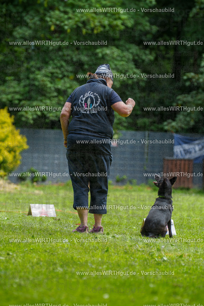 @allesWIRTHgut_Tierfotografie - www.allesWIRTHgut.de - 124550-7R509436 | Professionelle Tierfotografie in Mönchengladbach von Daniel Wirth (allesWIRTHgut). Liebevolle & natürliche Bilder von Hunden & Katzen für unvergessliche Erinnerungen.