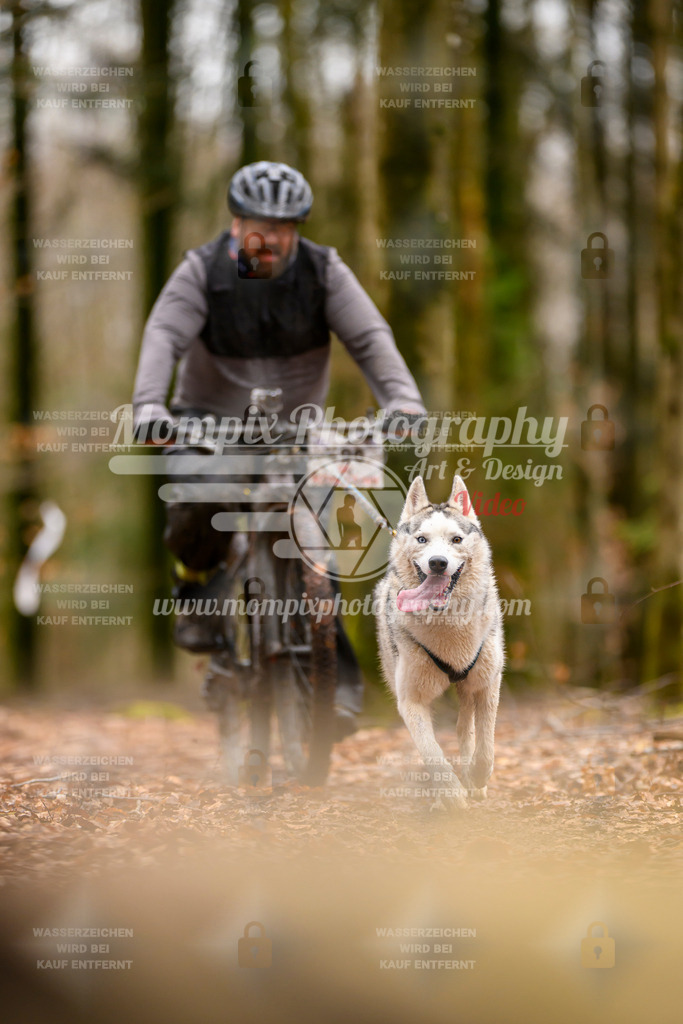 MompixPhotography_Habay2024_SA_Bike-89 | PayLife