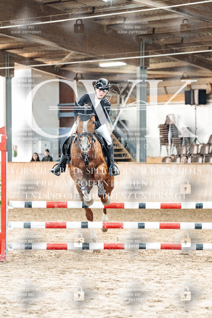 CK904132 | Turnierfotografie Pferdefotografie Trier Rheinland-Pfalz Pferdesport Reitsport Tierfotografie Sportfotografie Pferdevideo Pferdevideografie Equestrianvideography equestrianphotography  - Realisiert mit Pictrs.com