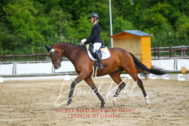 DKP45613 | Turniersportfotografie; Pferdefotografie; Dressurfotografie