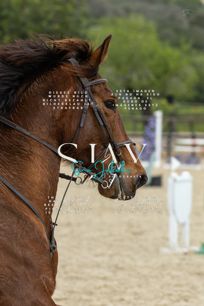 IMG_4835 | s-jay-photography - Realisiert mit Pictrs.com