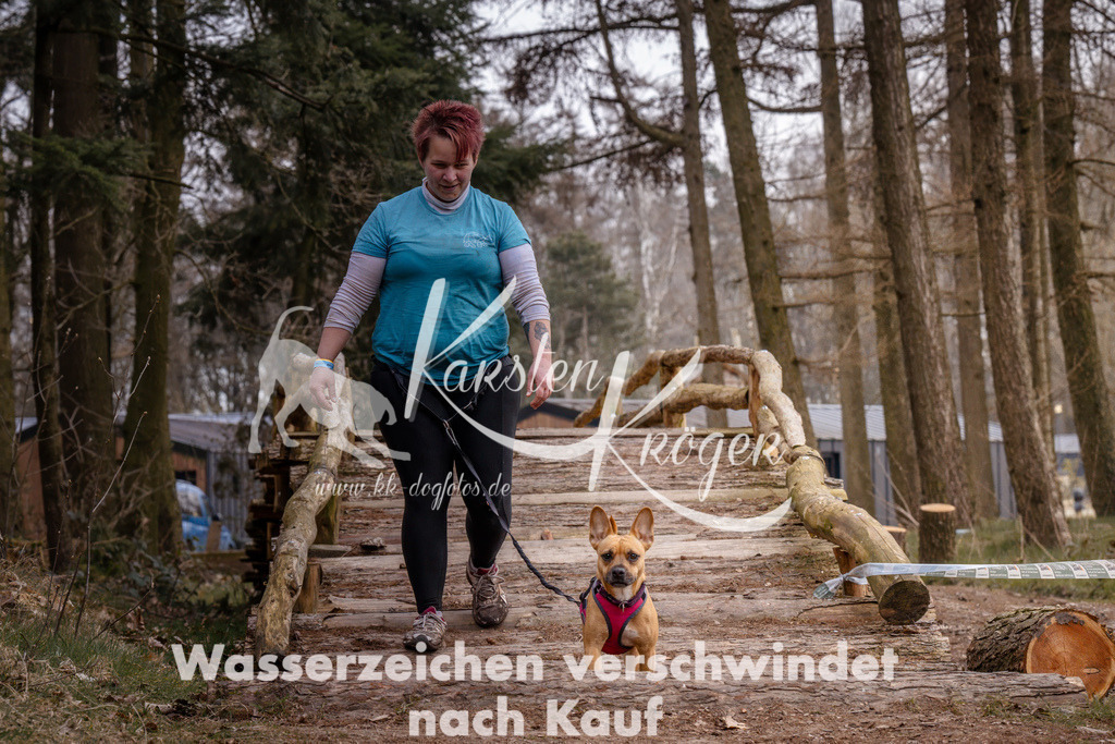 1600_ZZ92069-2 | kk-dogfotos