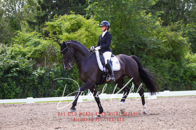 DKP41118 | Turnierfotos kaufen im Webshop von Daniel Kuhl Photography – entdecke professionelle Reitsportfotos aus Turnieren & Events. Hochwertige Turnierbilder online bestellen & sichern. Jetzt Fotos von Reitsportturnieren kaufen!