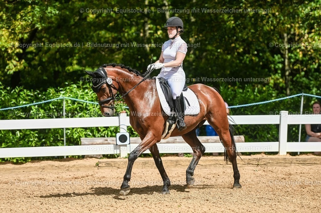 20230715_02_Dressurreiterprüfung Kl.L_0204 | equistock