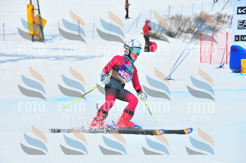 DSC_6055 | holidayphoto