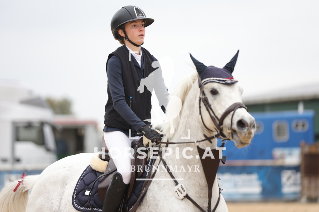 0P6A3927 | Willkommen bei Brunnmayr - Design & Fotografie – Ihrem Spezialisten für Reitturniere und Pferdeveranstaltungen in Oberösterreich, Salzburg und Bayern! Seit über 17 Jahren sind wir leidenschaftlich dabei.