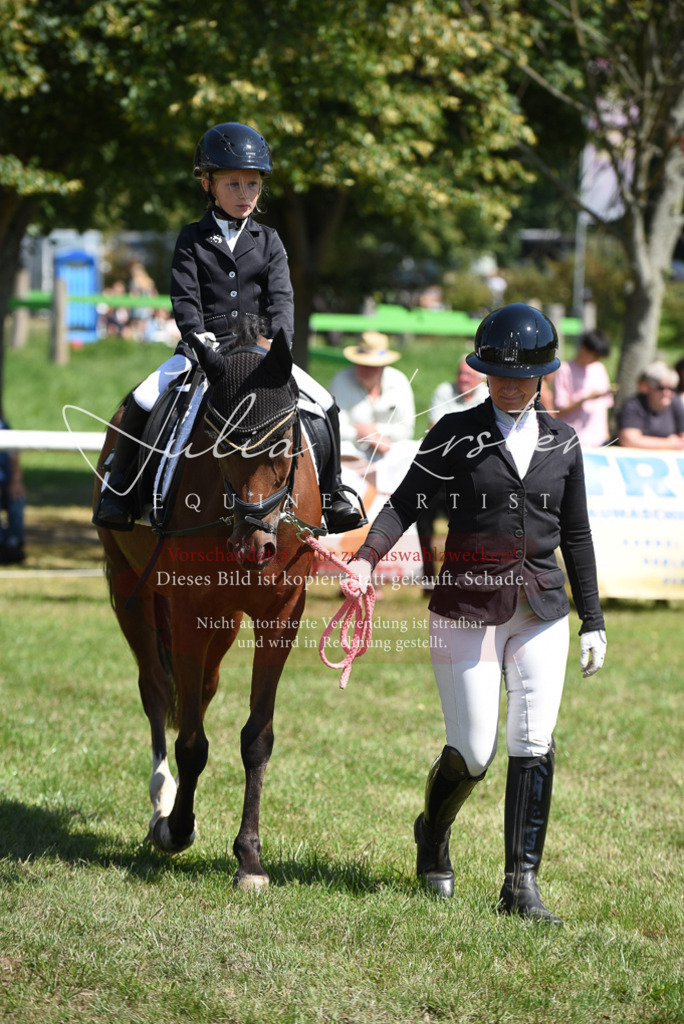 DSC_9759 | Pferde- und Turnierfotografie in Westsachsen. Pferdeportraits, Auftragszeichnungen und intuitive Kunst.