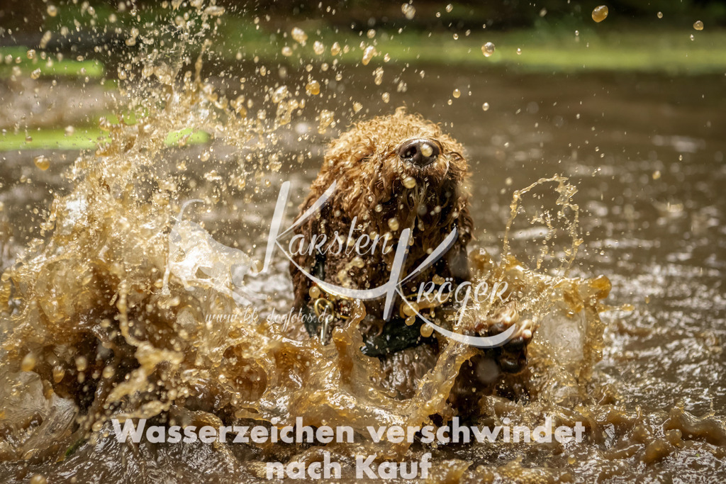 1218_ZZ93759-Bearbeitet | kk-dogfotos