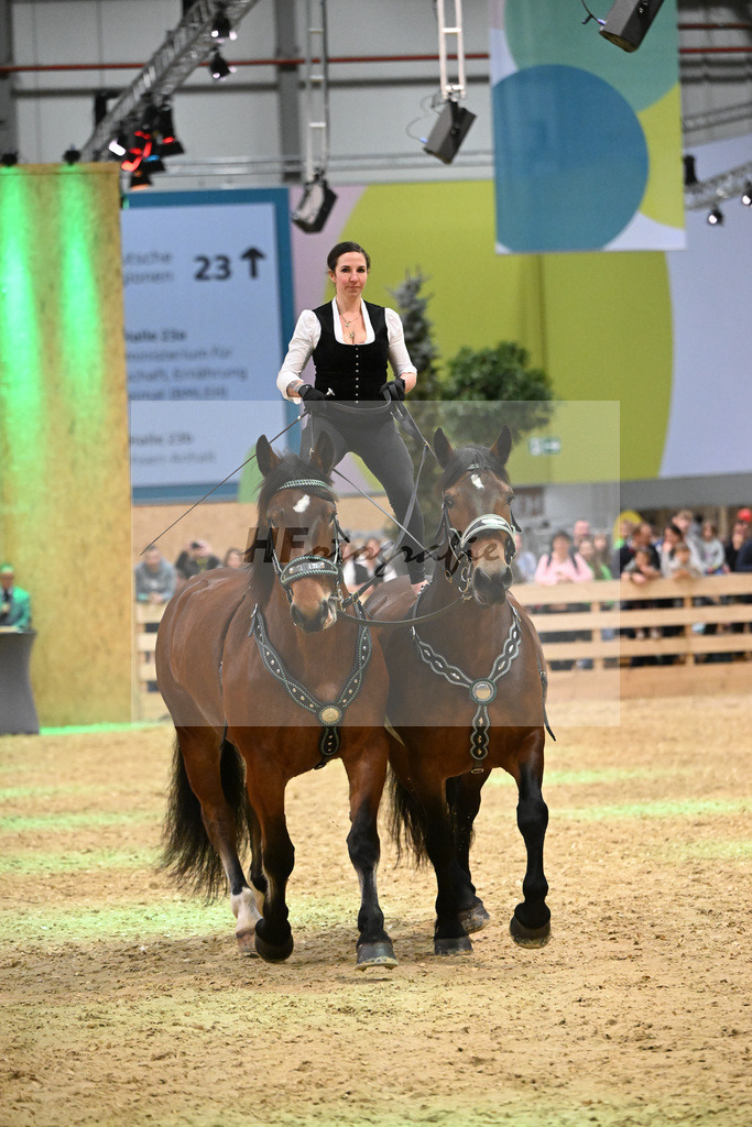 Schauprogramm_Ungar. Post_1260900 | hf-fotografie - Realisiert mit Pictrs.com