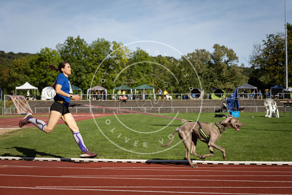 Pfotenfotografie_DV3A8412 | Hundefotografie, Tierfotograf, Pfotenfotografie, Fotoshooting Hund, Hunde Portrait, Hundesport, Hundeportraits, Heideshooting, Hunde, Sportfotograf, Hundefotograf, Turnierhundsport, THS,  - Realisiert mit Pictrs.com